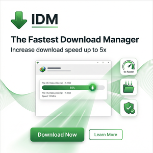 IDM官网 - IDM快速NTP日志