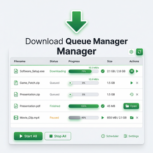 IDM官网 - IDM磁盘隔离